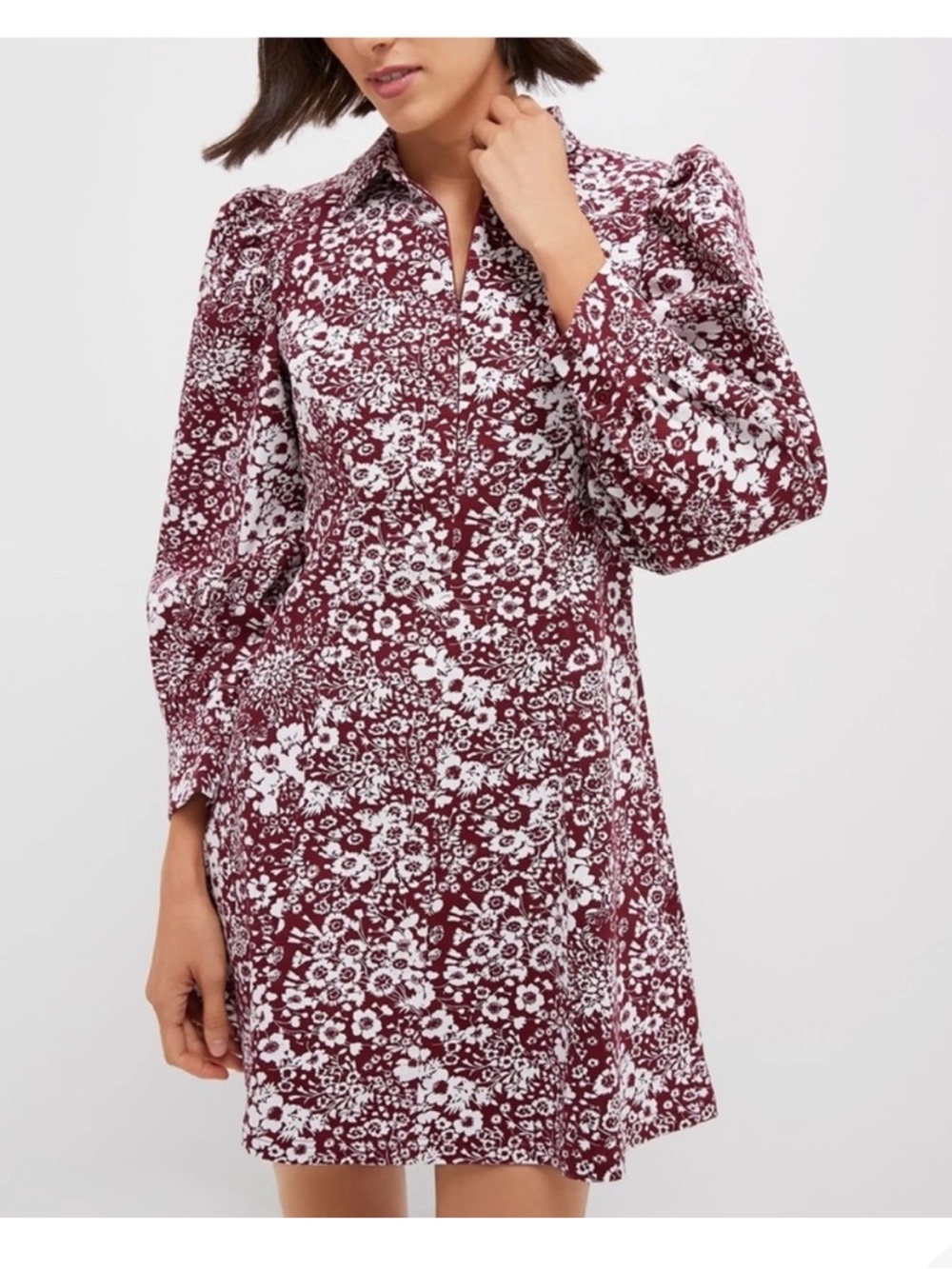 Tuckernuck HYACINTH HOUSE Maroon Floral Front Zip Begonia Mini Dress, Small NWT